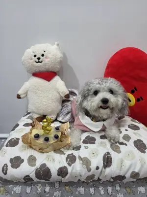 Lulu enjoying Pawby Kitchen