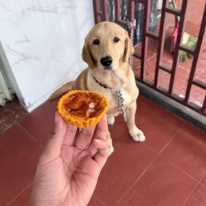 Hero enjoying Pawby Kitchen