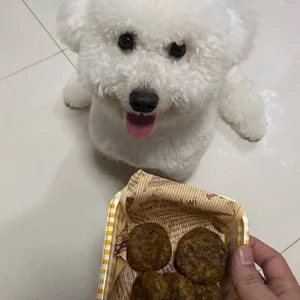 Bearly enjoying Pawby Kitchen