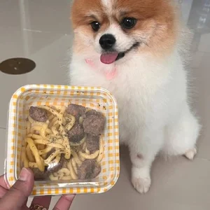 Lychee enjoying Pawby Kitchen