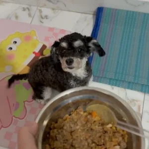 Afu enjoying Pawby Kitchen