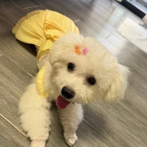 Xixi enjoying Pawby Kitchen