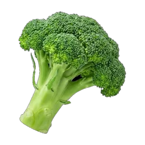 Broccoli