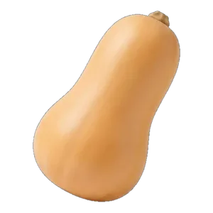 Butternut