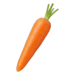 Carrot