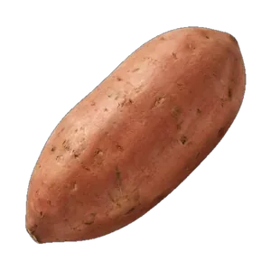 Sweet Potato