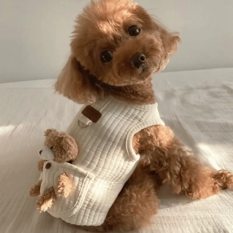Cuddle Bear Harness Vest (Plain)