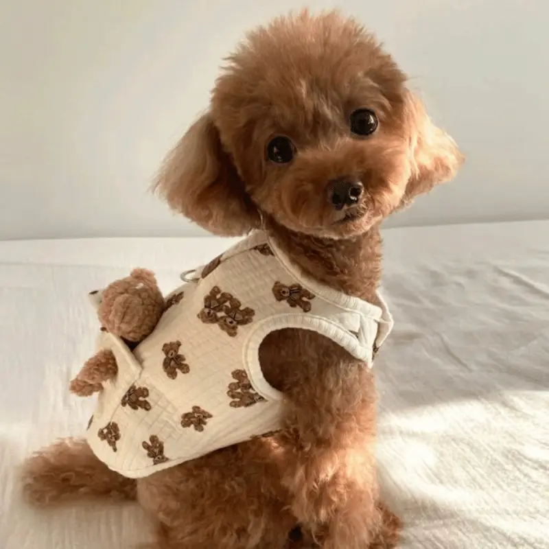 Cuddle Bear Harness Vest (Printed)