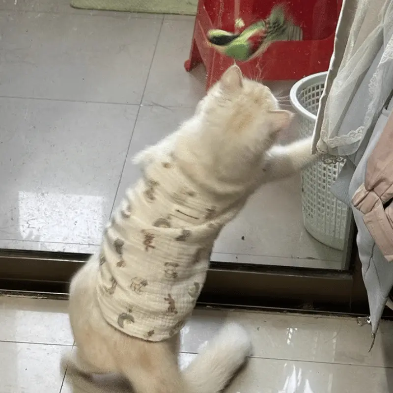 Luna Snuggle Wear photo 4