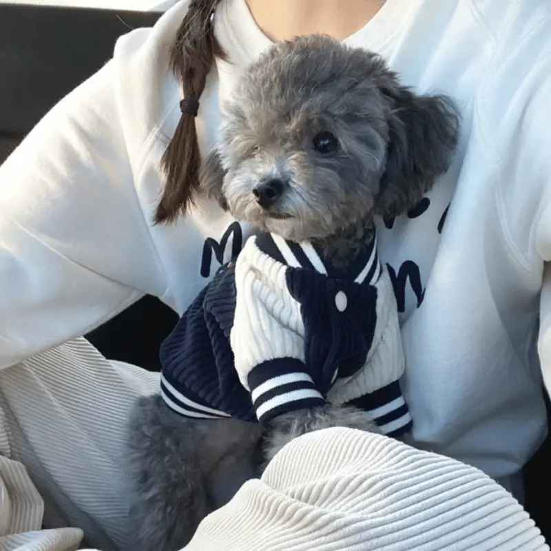 Varsity Paw Jacket